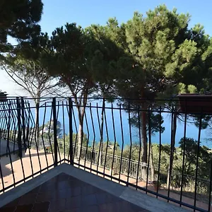 Alba Tra I Pini Cefalù